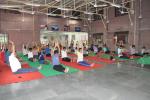 Yoga Activities on 19th June, 2017 - image-10