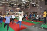 Yoga Activities on 19th June, 2017 - image-9